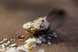 Scotch Bonnet Salt